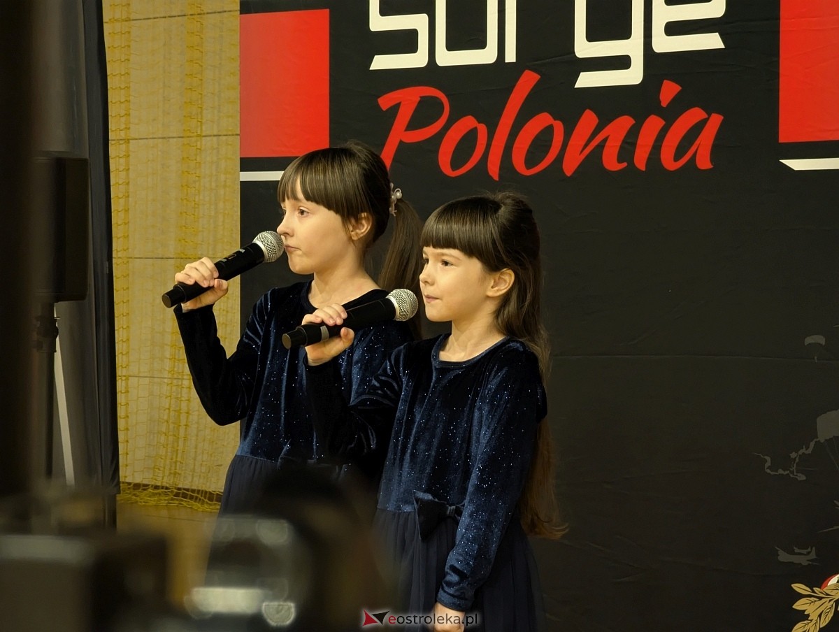 Piknik Patriotyczny w Olszewie-Borkach [16.11.2025] - zdjęcie #6 - eOstroleka.pl