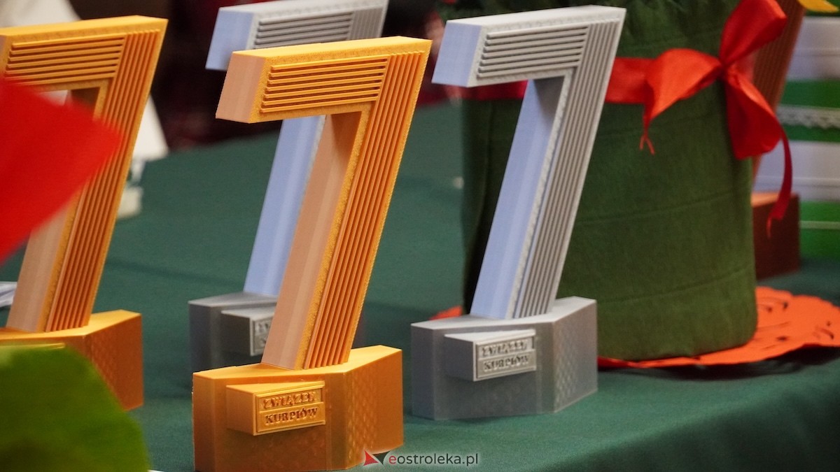 VII olimpiada wiedzy o Kurpiach [2.12.2025] - zdjęcie #69 - eOstroleka.pl