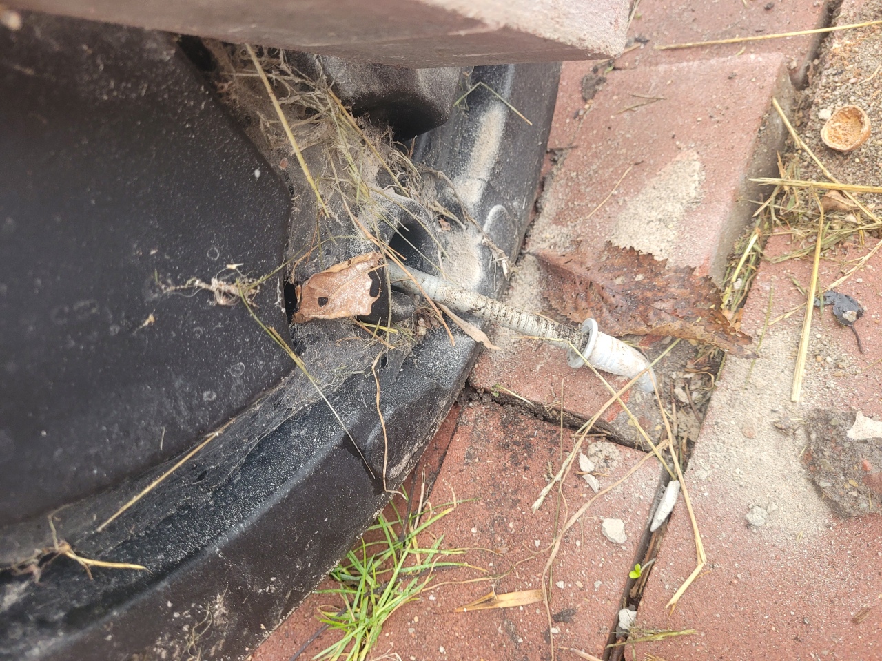 Wandalizm na Placu Dworcowym [03.12.2025] - zdjęcie #2 - eOstroleka.pl