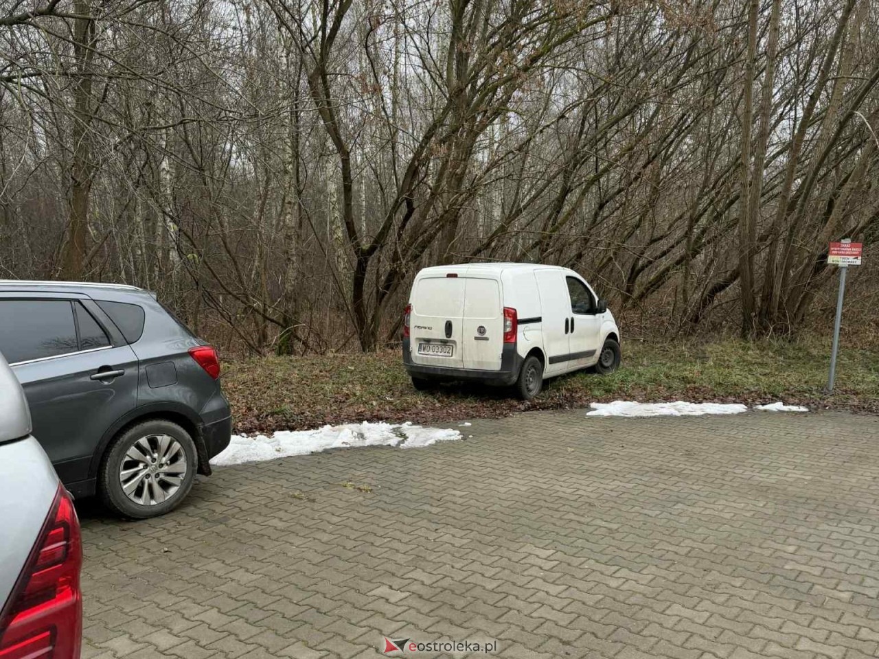 Akcja poszukiwawcza Olszewo-Borki  - zdjęcie #5 - eOstroleka.pl