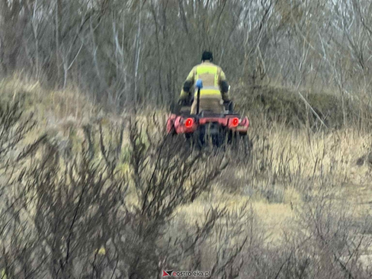 Akcja poszukiwawcza Olszewo-Borki  - zdjęcie #3 - eOstroleka.pl