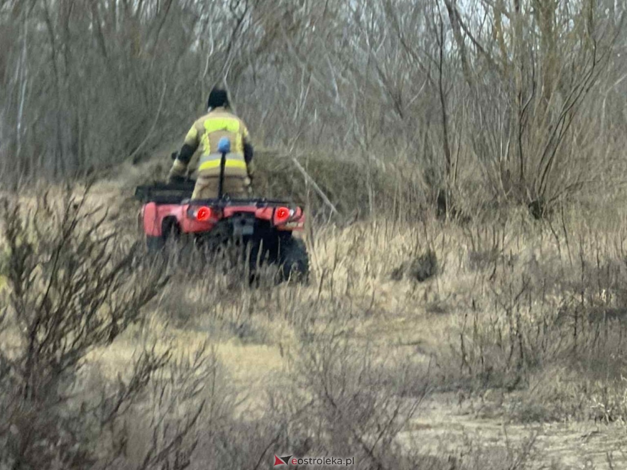 Akcja poszukiwawcza Olszewo-Borki  - zdjęcie #2 - eOstroleka.pl