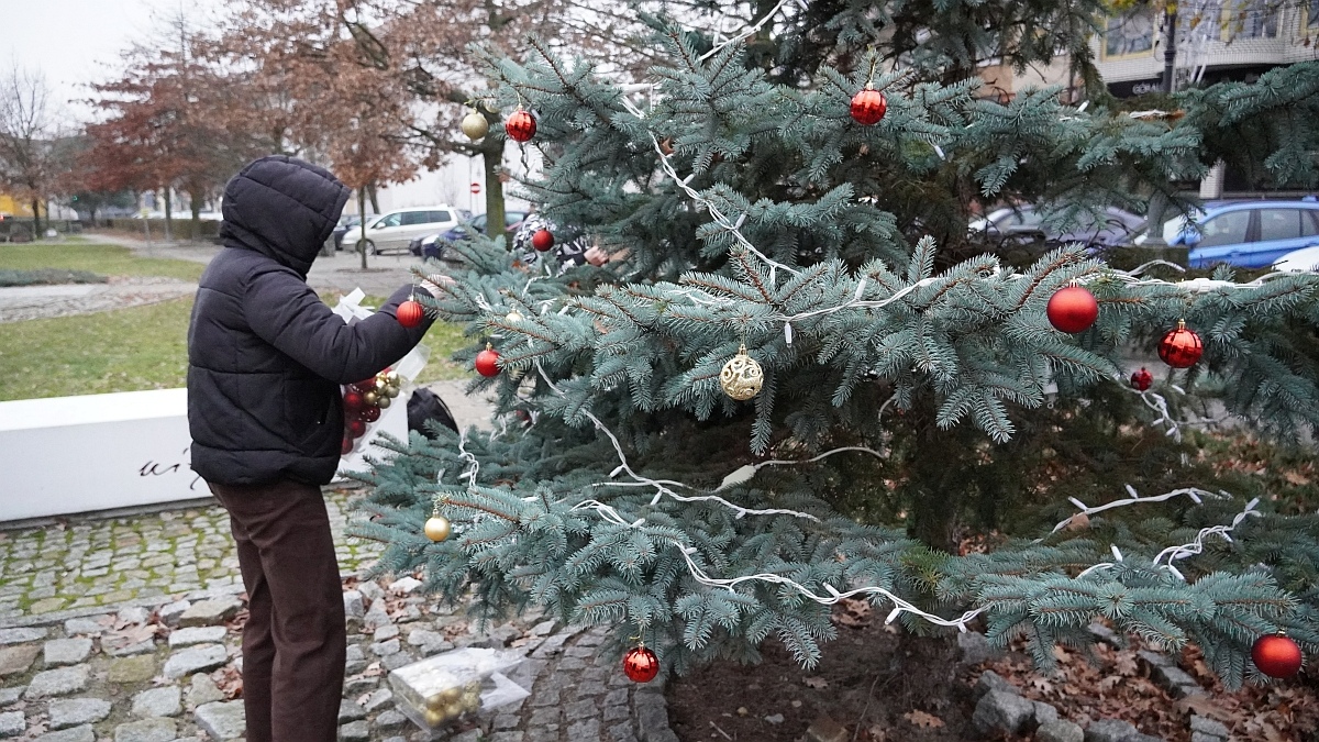 Strojenie choinki na placu Kaczyńskiego [03.12.2025] - zdjęcie #30 - eOstroleka.pl