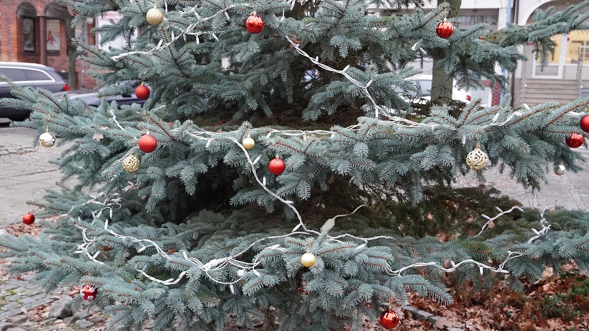 Strojenie choinki na placu Kaczyńskiego [03.12.2025] - zdjęcie #28 - eOstroleka.pl