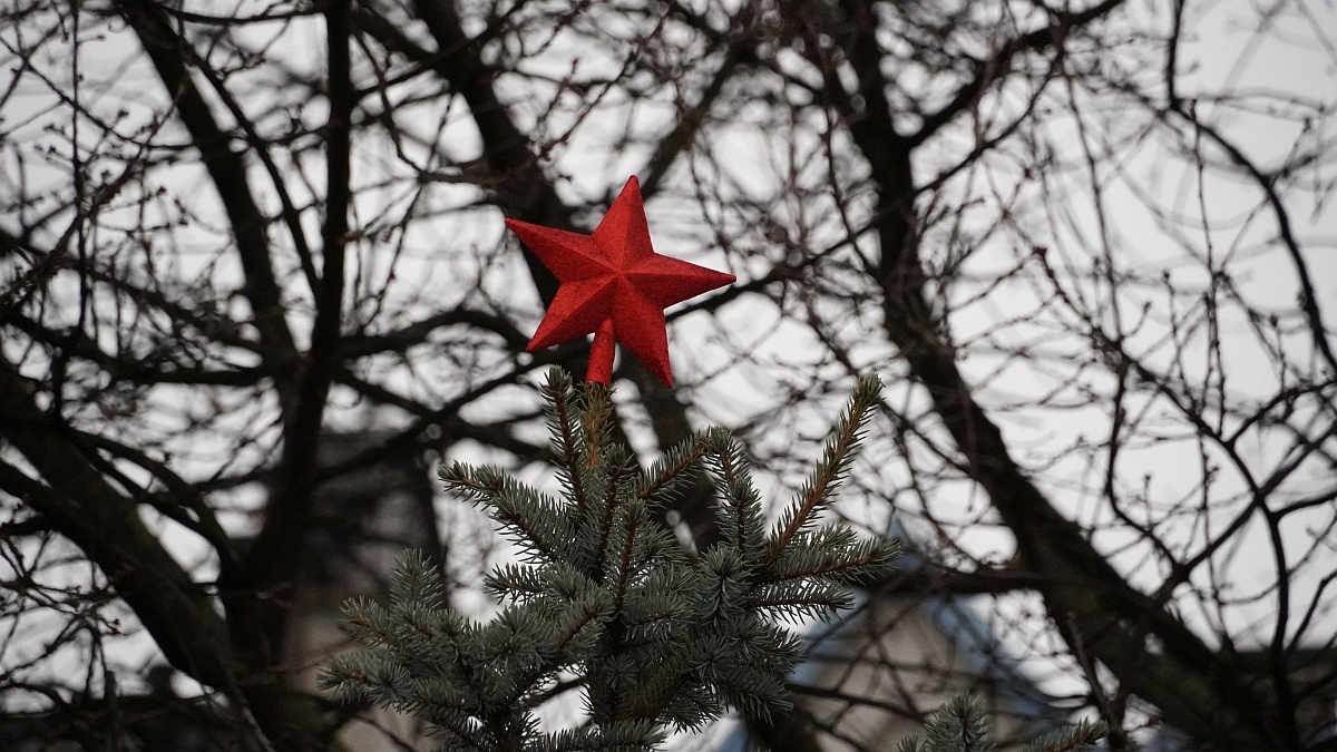 Strojenie choinki na placu Kaczyńskiego [03.12.2025] - zdjęcie #11 - eOstroleka.pl