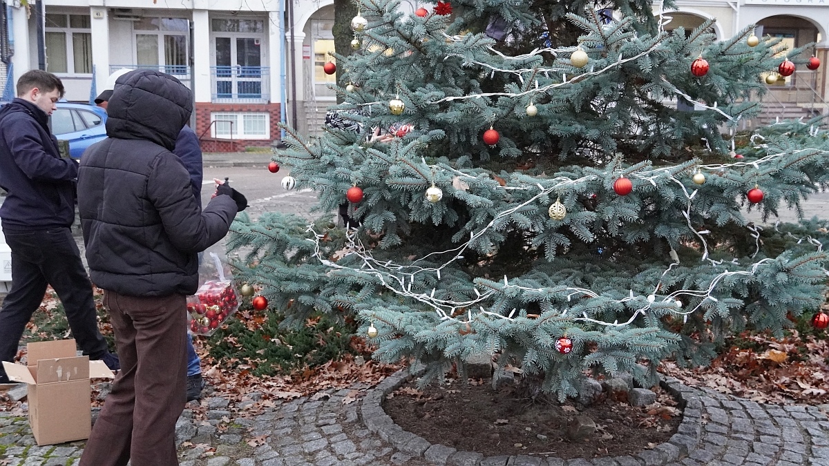 Strojenie choinki na placu Kaczyńskiego [03.12.2025] - zdjęcie #10 - eOstroleka.pl