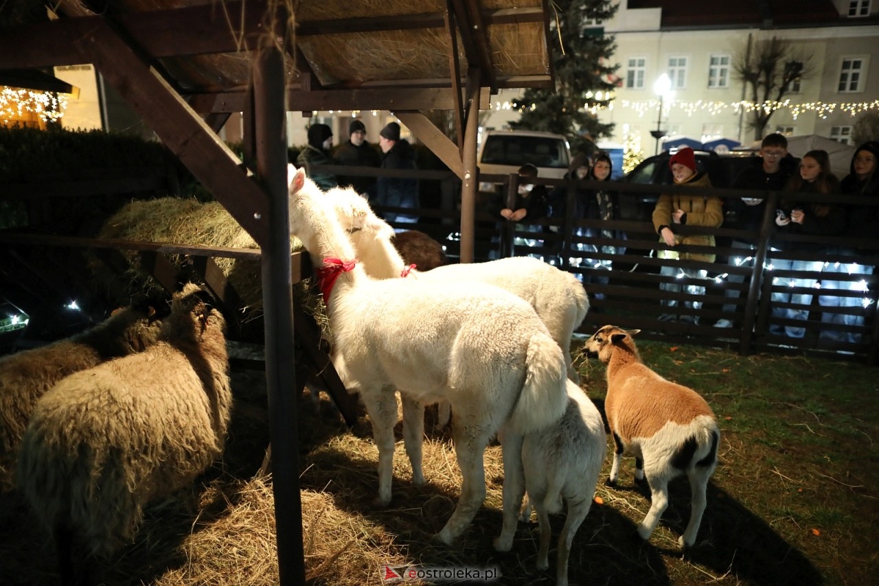 Jarmark Bożonarodzeniowy w Ostrołęce [4.12.2025] - zdjęcie #18 - eOstroleka.pl