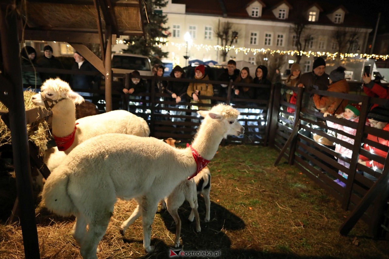Jarmark Bożonarodzeniowy w Ostrołęce [4.12.2025] - zdjęcie #17 - eOstroleka.pl