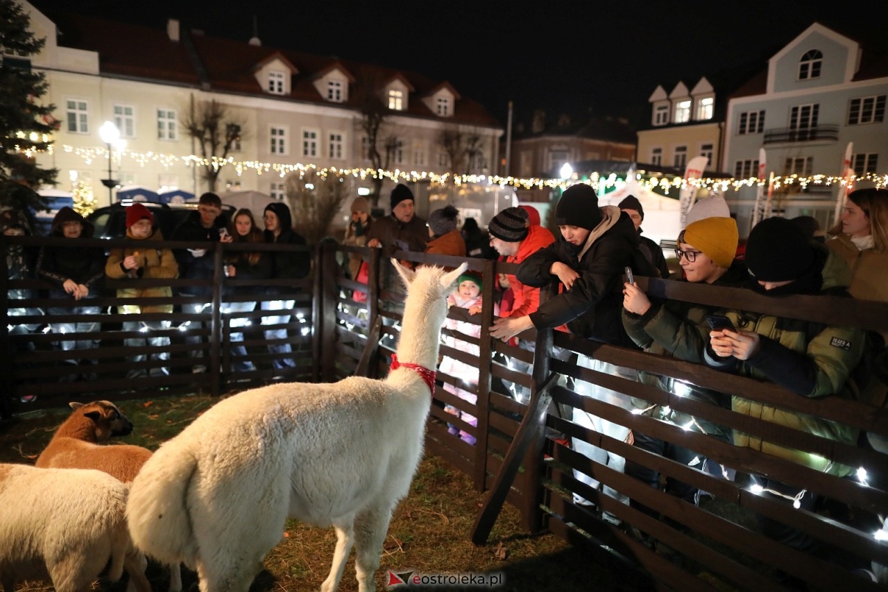 Jarmark Bożonarodzeniowy w Ostrołęce [4.12.2025] - zdjęcie #16 - eOstroleka.pl