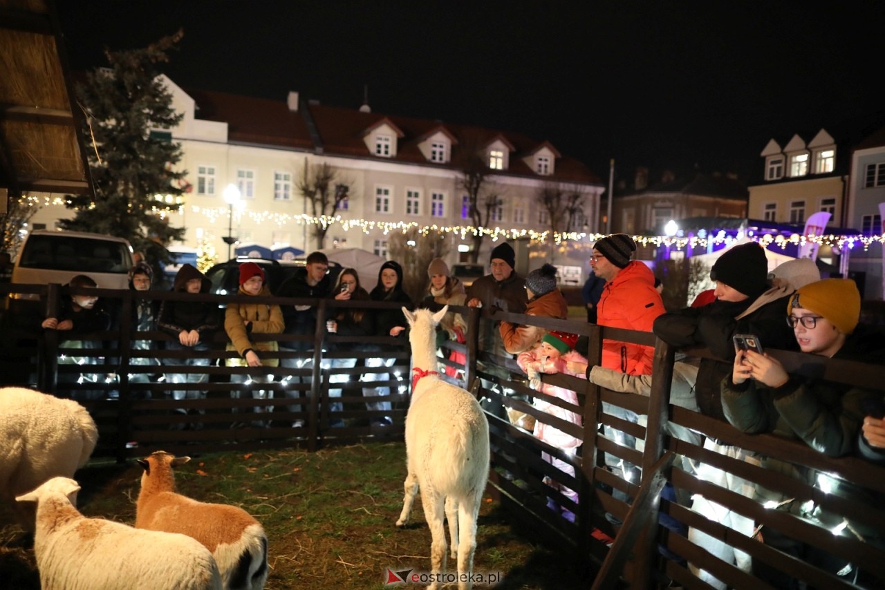 Jarmark Bożonarodzeniowy w Ostrołęce [4.12.2025] - zdjęcie #15 - eOstroleka.pl