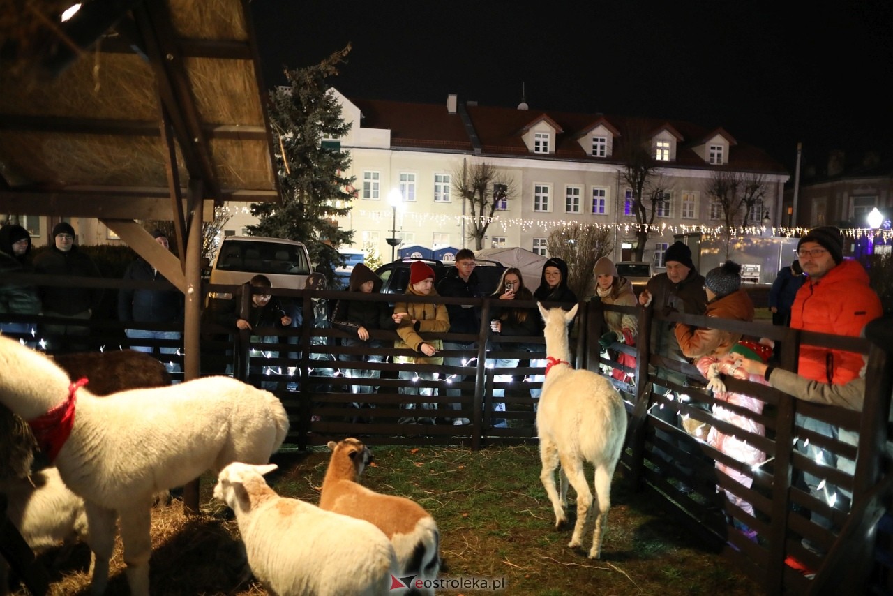 Jarmark Bożonarodzeniowy w Ostrołęce [4.12.2025] - zdjęcie #14 - eOstroleka.pl