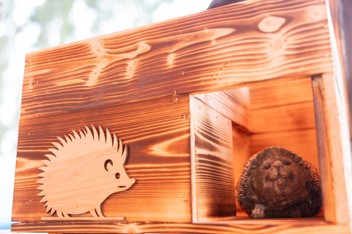 Akcja Czysta Omulew [05.12.2025] - zdjęcie #1 - eOstroleka.pl