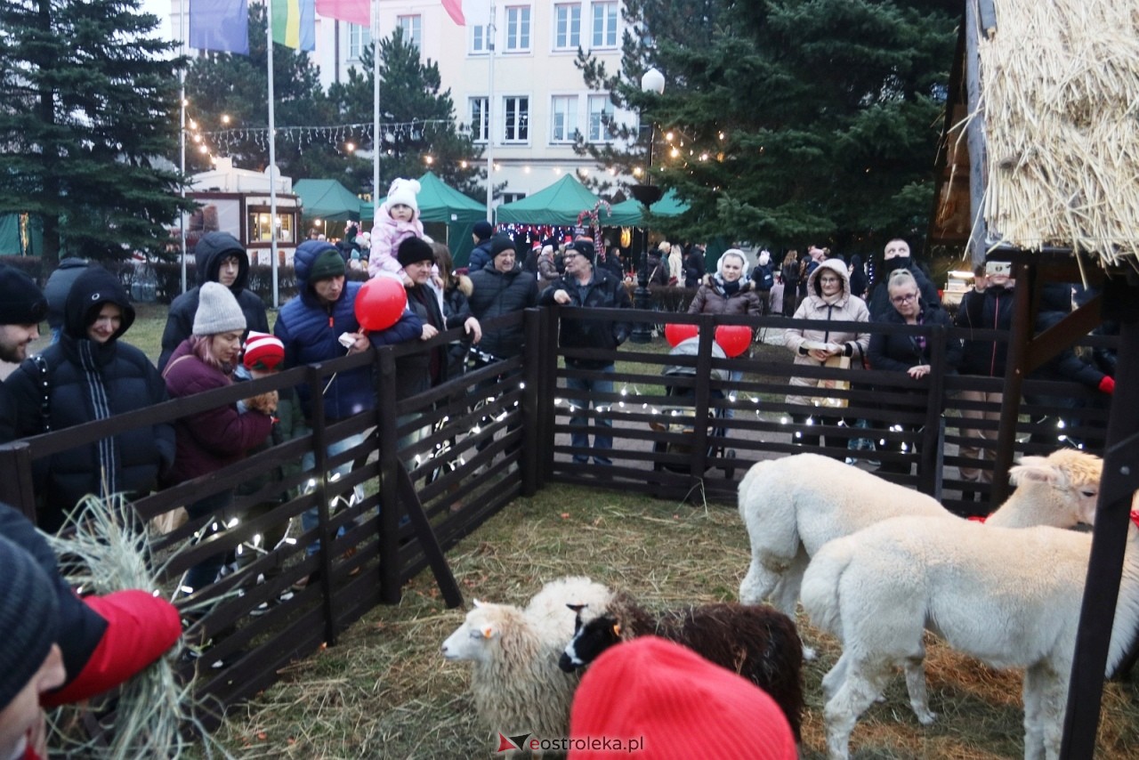 Jarmark Bożonarodzeniowy 2025. Wizyta Mikołaja [6.12.2025] - zdjęcie #97 - eOstroleka.pl