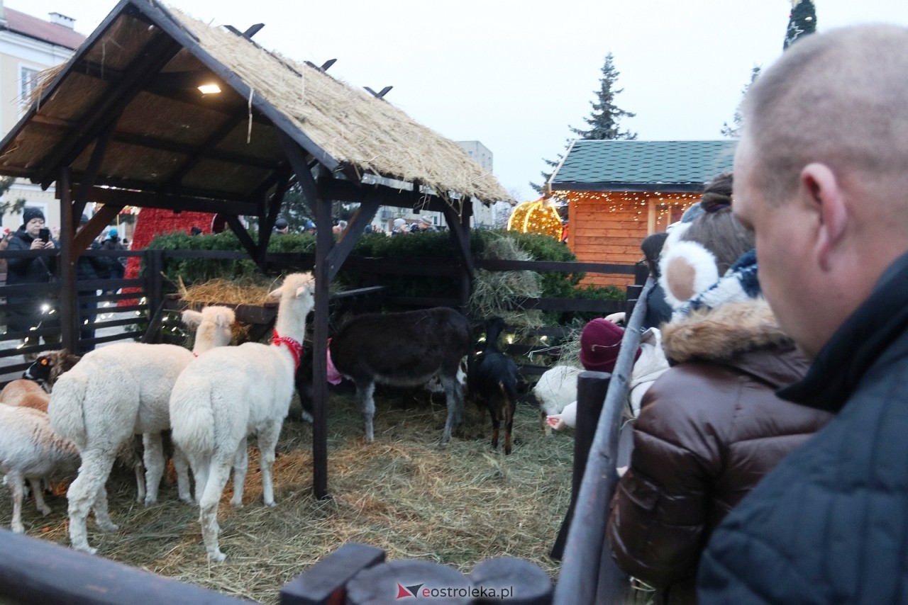 Jarmark Bożonarodzeniowy 2025. Wizyta Mikołaja [6.12.2025] - zdjęcie #91 - eOstroleka.pl
