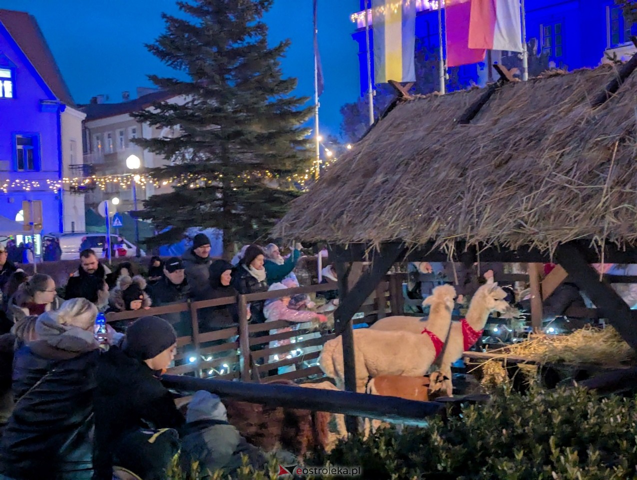 Jarmark Bożonarodzeniowy 2025. Wizyta Mikołaja [6.12.2025] - zdjęcie #1 - eOstroleka.pl