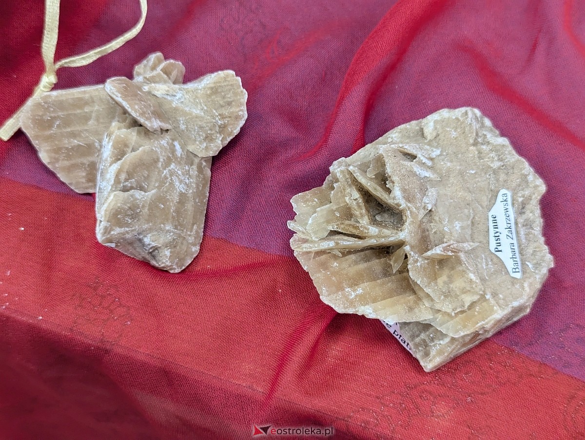 Giełda Kolekcjonerska w Klubie Lokator [07.12.2025] - zdjęcie #4 - eOstroleka.pl