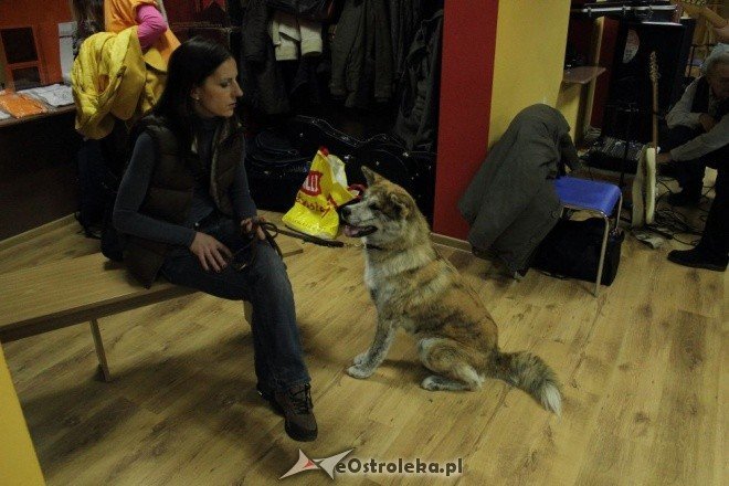 Promocja kalendarza Wybierz Miśka [05.11.2011] - zdjęcie #27 - eOstroleka.pl