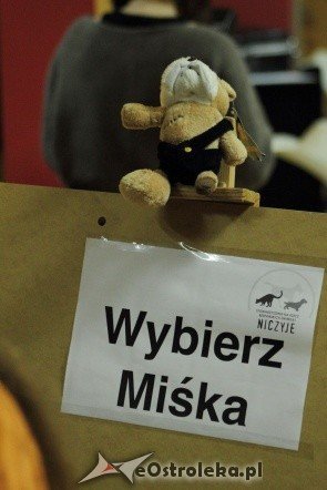 Promocja kalendarza Wybierz Miśka [05.11.2011] - zdjęcie #22 - eOstroleka.pl