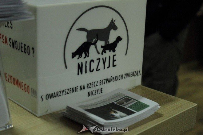 Promocja kalendarza Wybierz Miśka [05.11.2011] - zdjęcie #18 - eOstroleka.pl