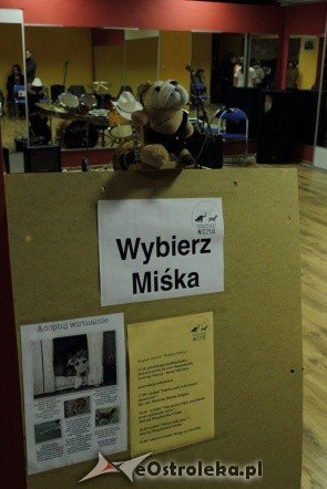 Promocja kalendarza Wybierz Miśka [05.11.2011] - zdjęcie #17 - eOstroleka.pl