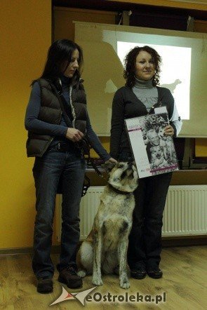 Promocja kalendarza Wybierz Miśka [05.11.2011] - zdjęcie #12 - eOstroleka.pl