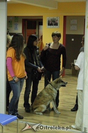 Promocja kalendarza Wybierz Miśka [05.11.2011] - zdjęcie #9 - eOstroleka.pl