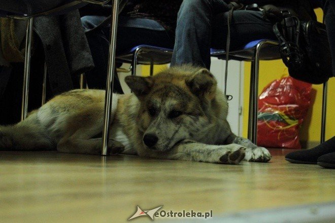 Promocja kalendarza Wybierz Miśka [05.11.2011] - zdjęcie #2 - eOstroleka.pl