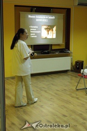 Promocja kalendarza Wybierz Miśka [05.11.2011] - zdjęcie #1 - eOstroleka.pl