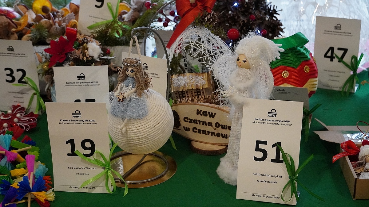 Rozstrzygnięcie konkursu Bożonarodzeniowa ozdoba choinkowa w ARiMR [12.12.2025] - zdjęcie #43 - eOstroleka.pl