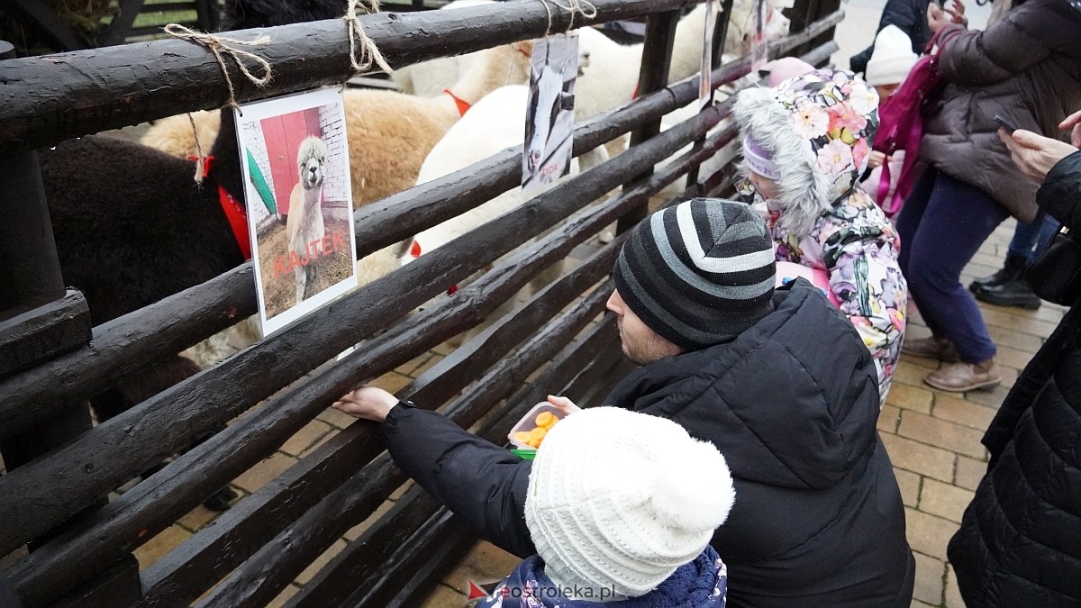Wigilijne spotkanie na osiedlu Centrum [13.12.2025] - zdjęcie #117 - eOstroleka.pl