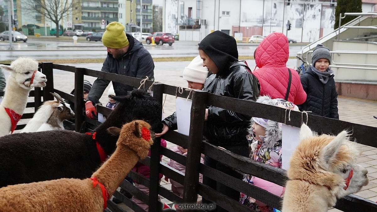 Wigilijne spotkanie na osiedlu Centrum [13.12.2025] - zdjęcie #110 - eOstroleka.pl