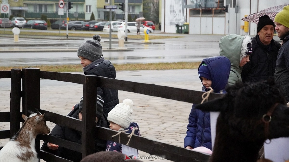 Wigilijne spotkanie na osiedlu Centrum [13.12.2025] - zdjęcie #107 - eOstroleka.pl