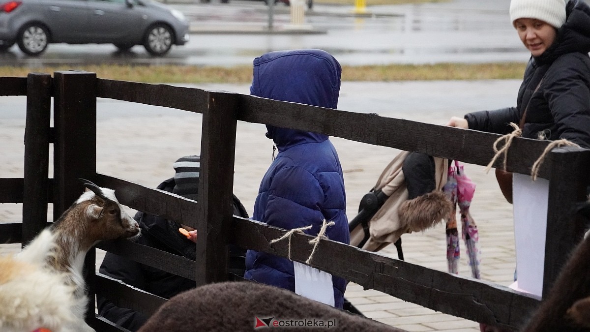 Wigilijne spotkanie na osiedlu Centrum [13.12.2025] - zdjęcie #106 - eOstroleka.pl