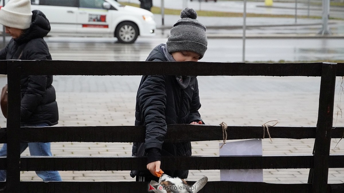 Wigilijne spotkanie na osiedlu Centrum [13.12.2025] - zdjęcie #105 - eOstroleka.pl