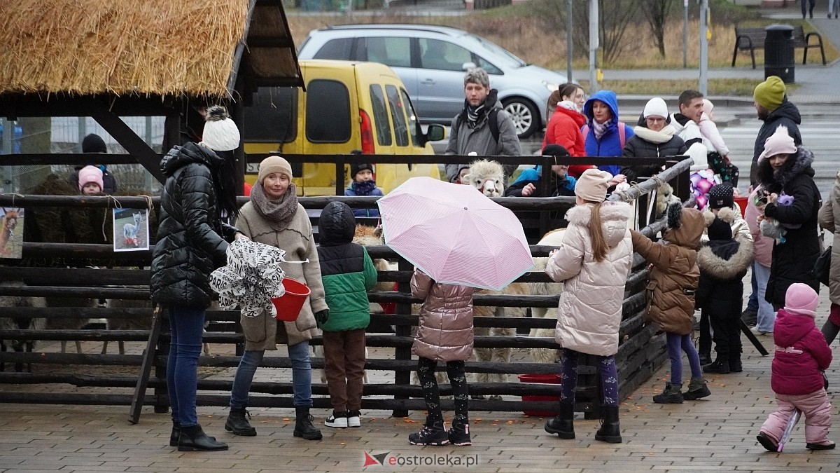 Wigilijne spotkanie na osiedlu Centrum [13.12.2025] - zdjęcie #36 - eOstroleka.pl