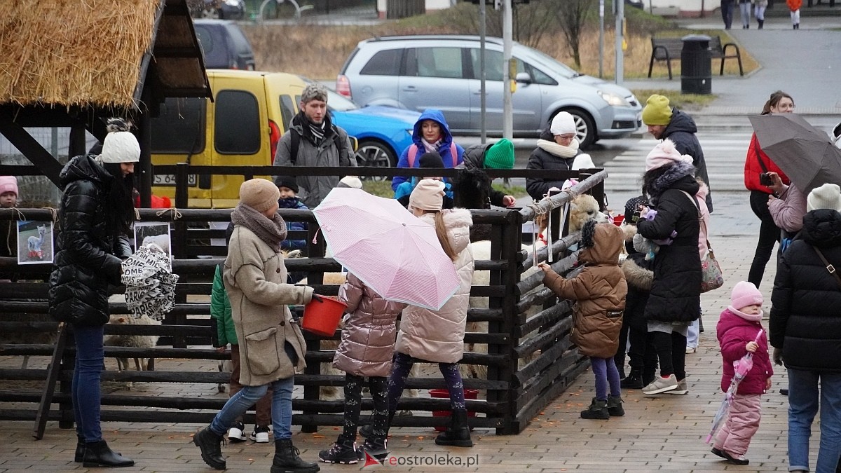 Wigilijne spotkanie na osiedlu Centrum [13.12.2025] - zdjęcie #34 - eOstroleka.pl