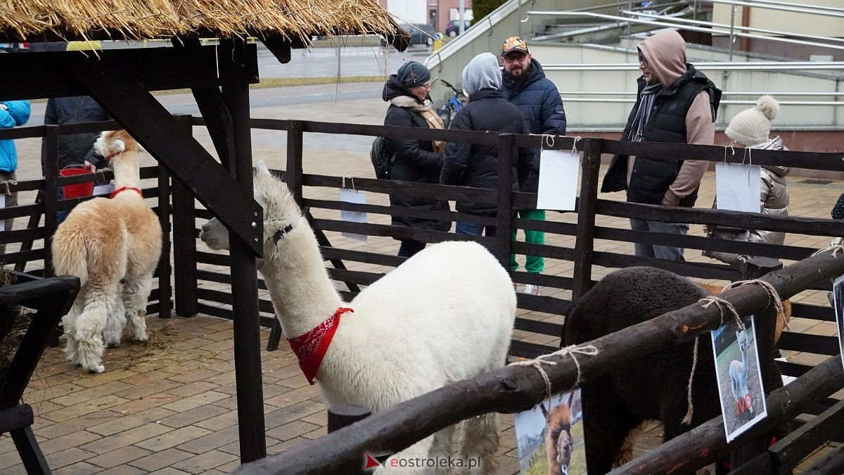 Wigilijne spotkanie na osiedlu Centrum [13.12.2025] - zdjęcie #13 - eOstroleka.pl