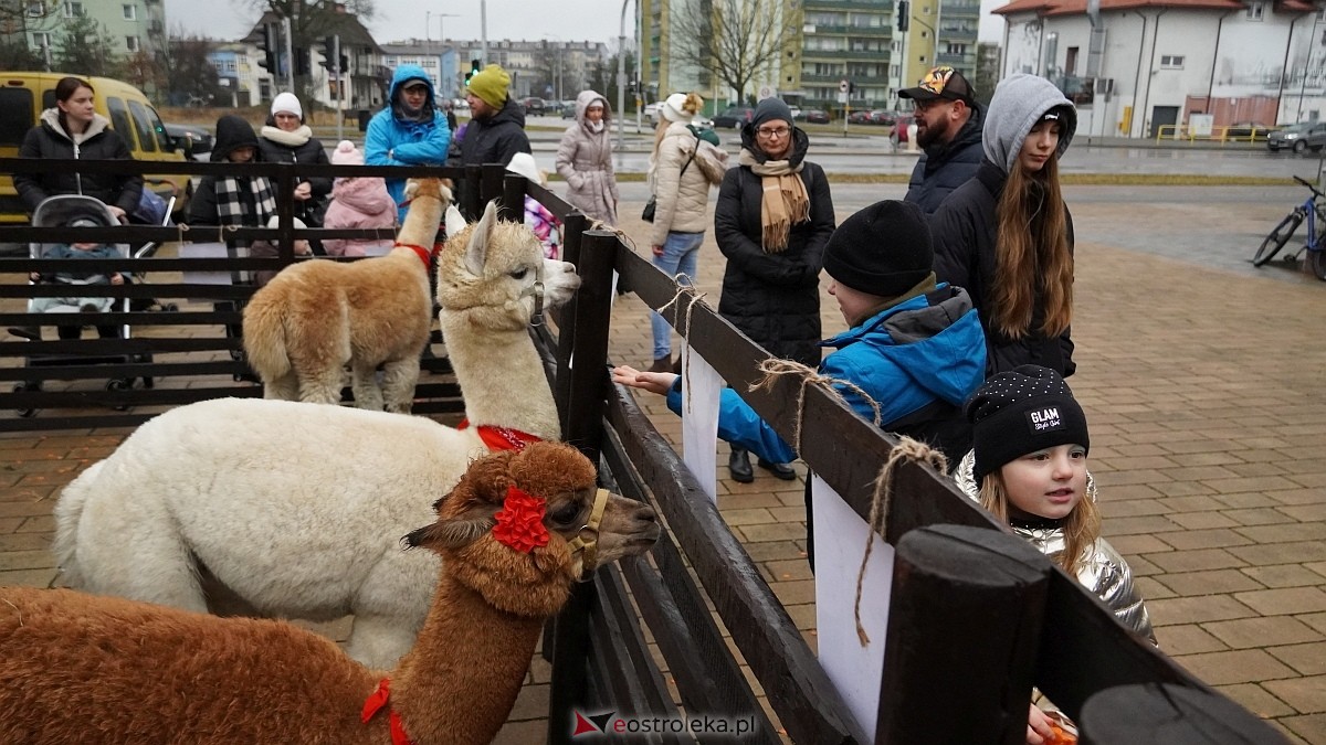Wigilijne spotkanie na osiedlu Centrum [13.12.2025] - zdjęcie #9 - eOstroleka.pl