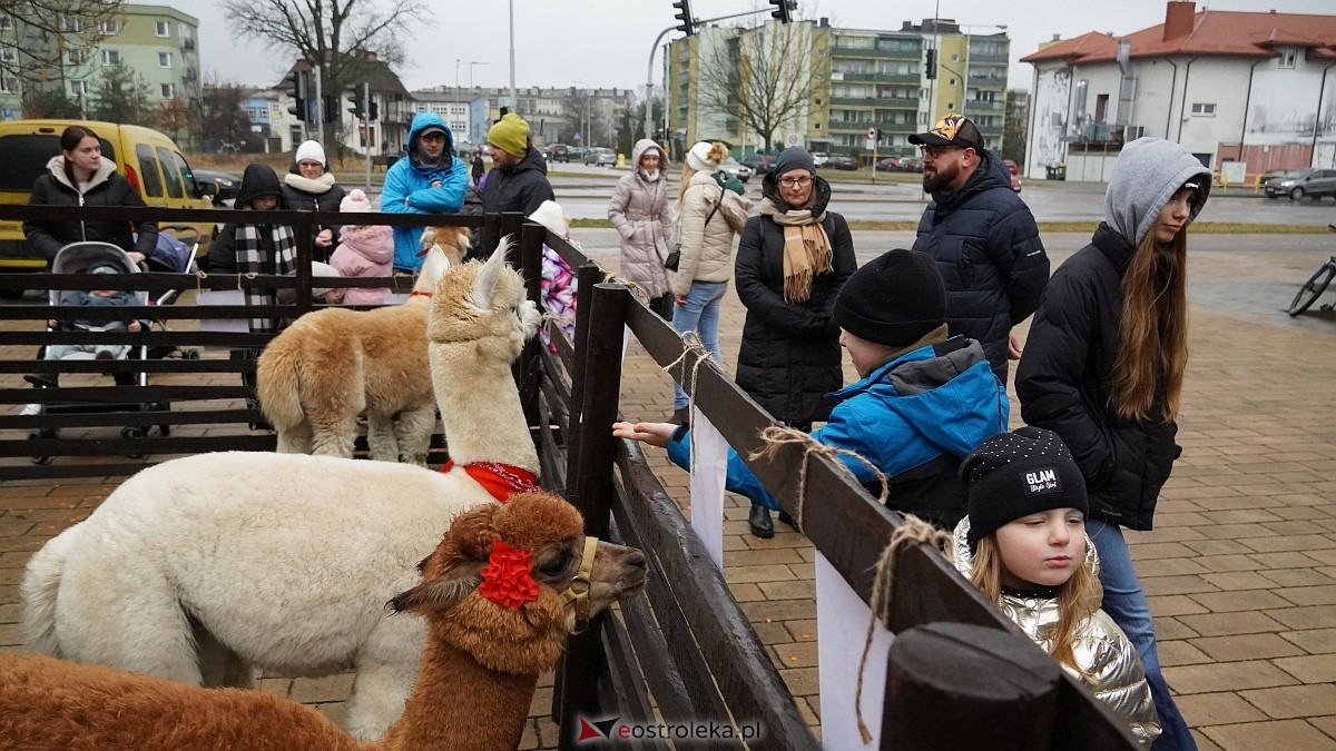 Wigilijne spotkanie na osiedlu Centrum [13.12.2025] - zdjęcie #8 - eOstroleka.pl