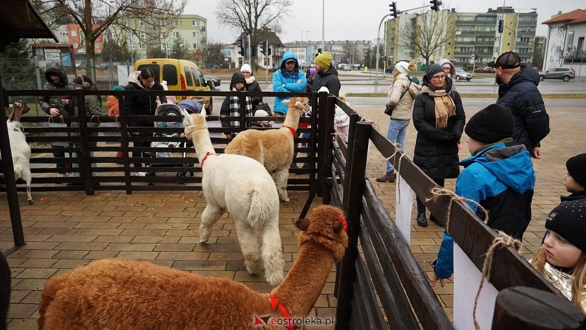 Wigilijne spotkanie na osiedlu Centrum [13.12.2025] - zdjęcie #7 - eOstroleka.pl