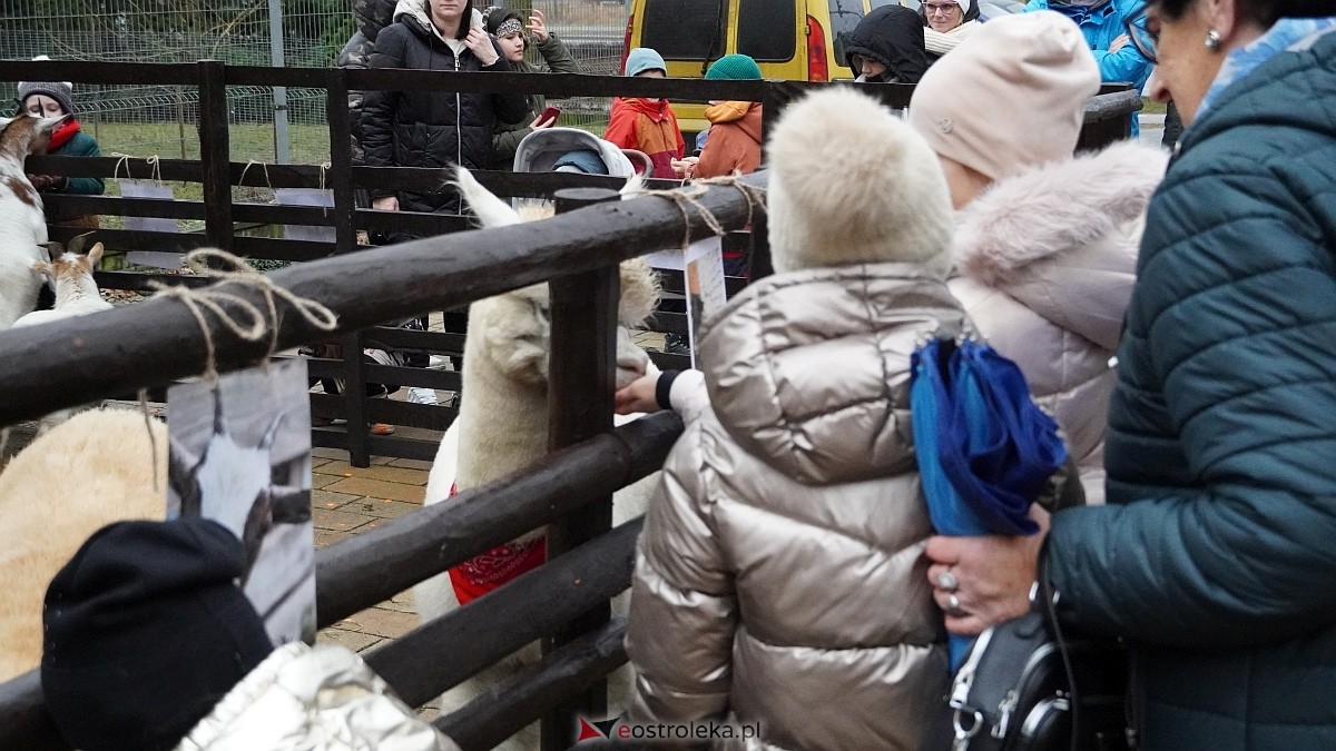 Wigilijne spotkanie na osiedlu Centrum [13.12.2025] - zdjęcie #6 - eOstroleka.pl