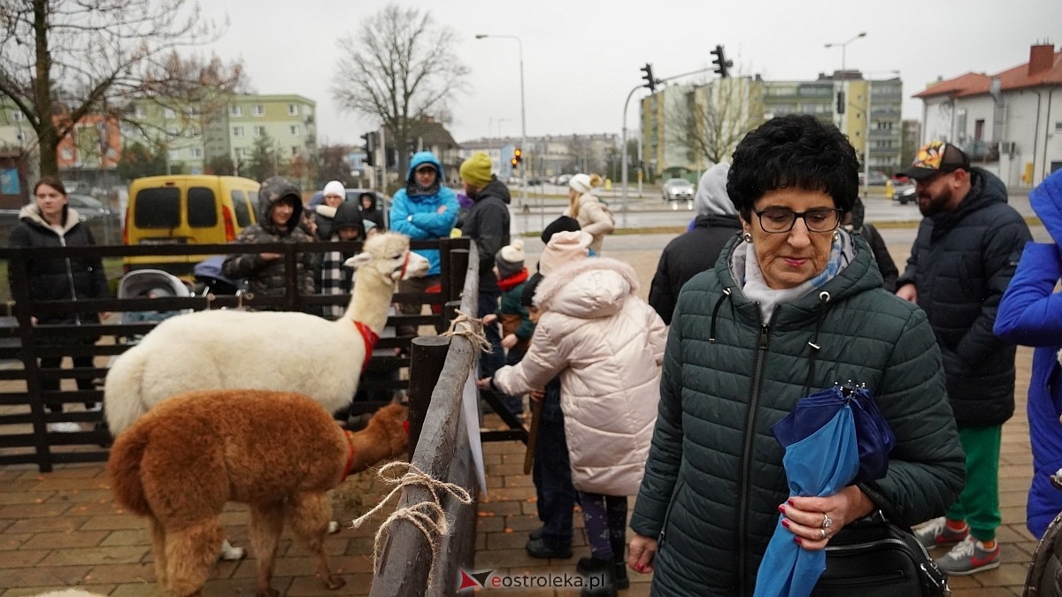 Wigilijne spotkanie na osiedlu Centrum [13.12.2025] - zdjęcie #2 - eOstroleka.pl