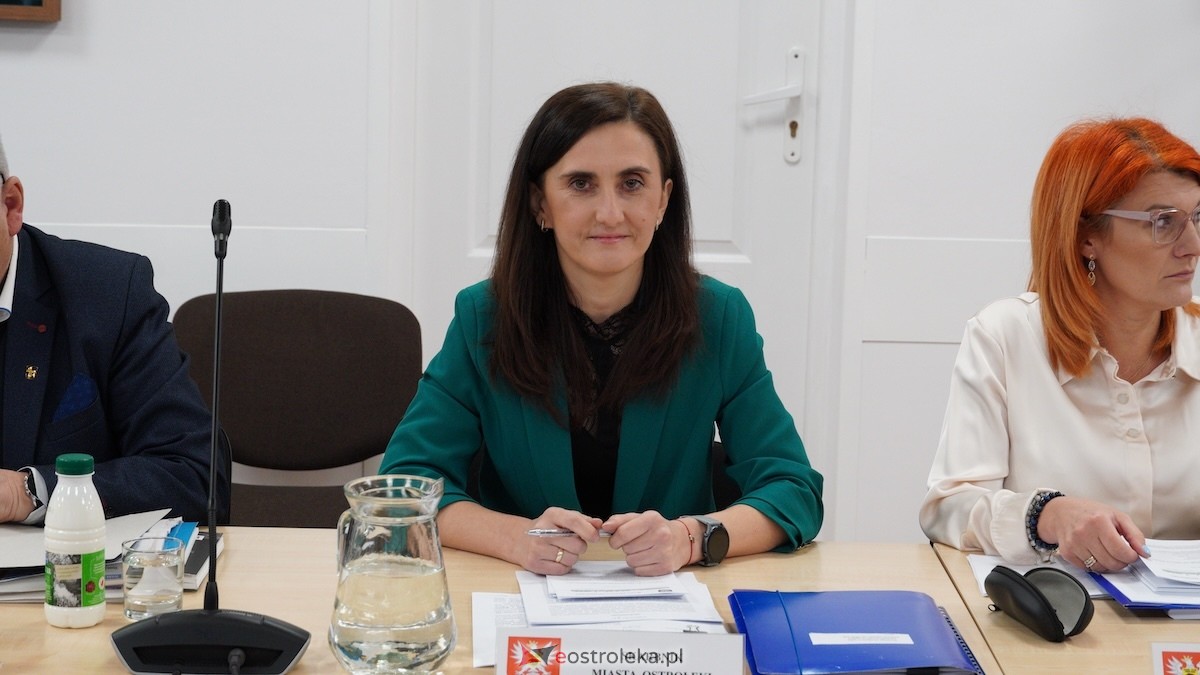 Sesja Rady Miasta. Budżet na 2026 [18.12.2025] - zdjęcie #29 - eOstroleka.pl