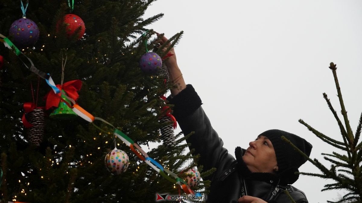 Miejska choinka na Placu Wolności już ubrana. W akcji pomogli najmłodsi ostrołęczanie! [19.12.2025] - zdjęcie #40 - eOstroleka.pl