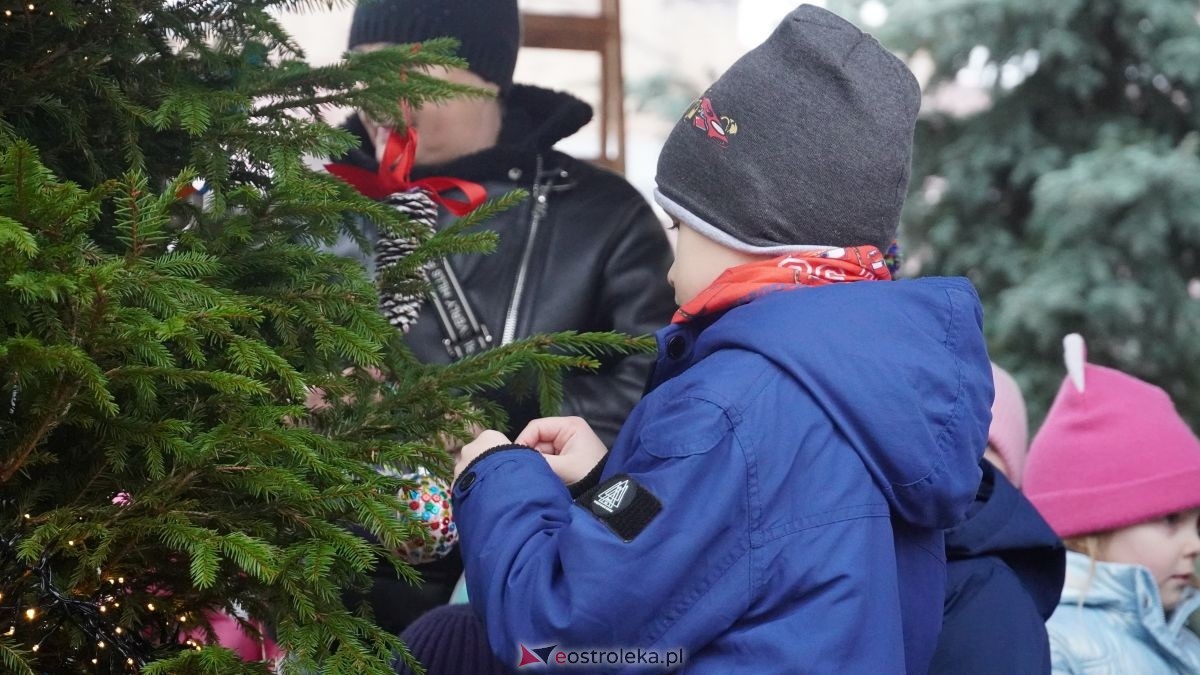 Miejska choinka na Placu Wolności już ubrana. W akcji pomogli najmłodsi ostrołęczanie! [19.12.2025] - zdjęcie #31 - eOstroleka.pl