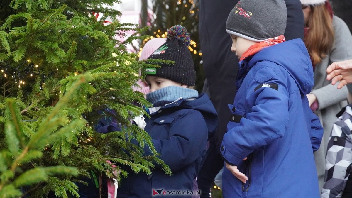 Miejska choinka na Placu Wolności już ubrana. W akcji pomogli najmłodsi ostrołęczanie! [19.12.2025] - zdjęcie #30 - eOstroleka.pl
