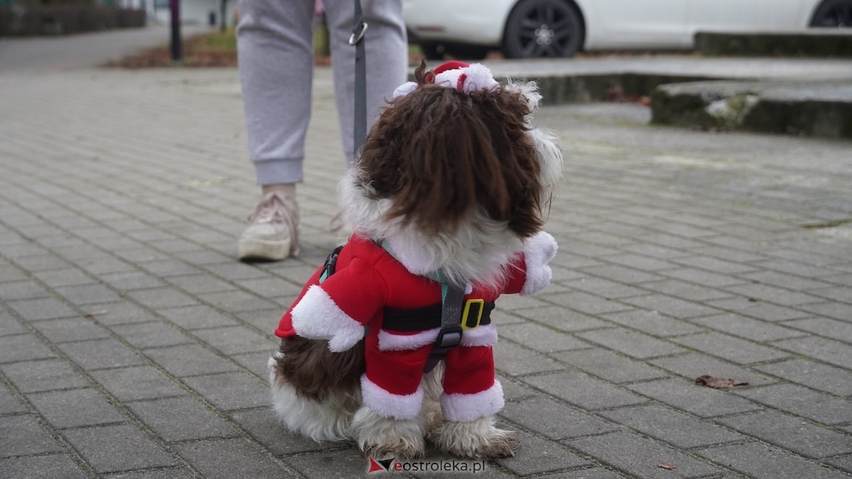 Wigilia osiedla Parkowe w Ostrołęce [21.12.2025] - zdjęcie #54 - eOstroleka.pl