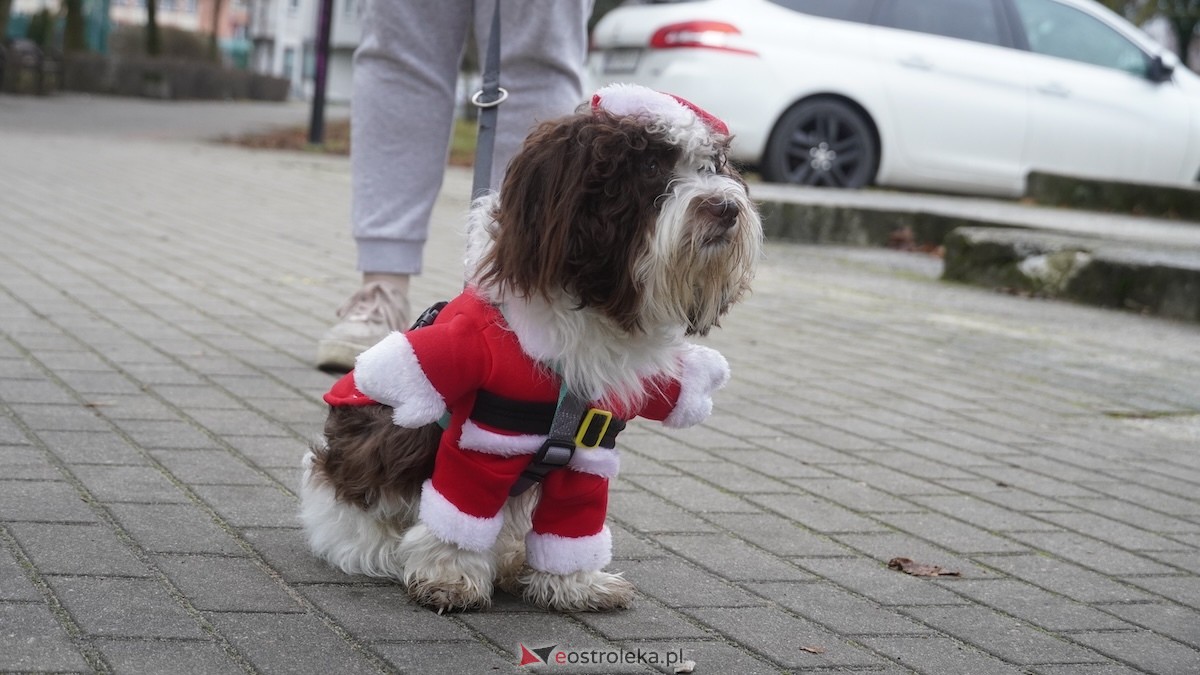 Wigilia osiedla Parkowe w Ostrołęce [21.12.2025] - zdjęcie #53 - eOstroleka.pl