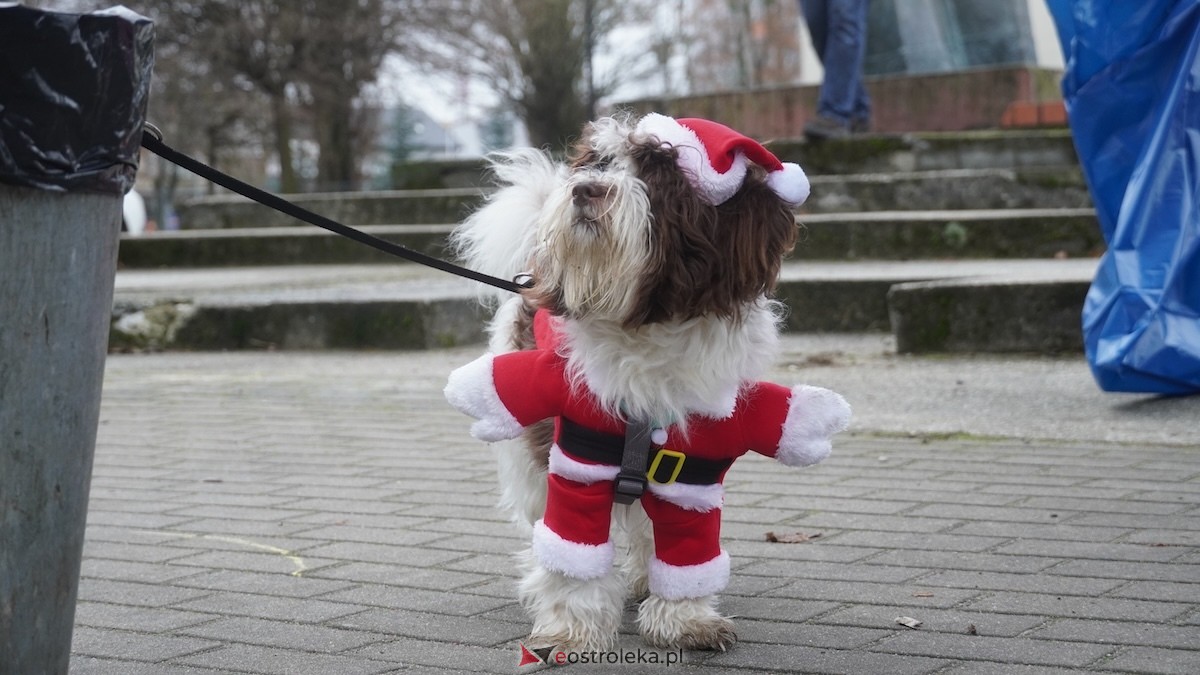 Wigilia osiedla Parkowe w Ostrołęce [21.12.2025] - zdjęcie #52 - eOstroleka.pl