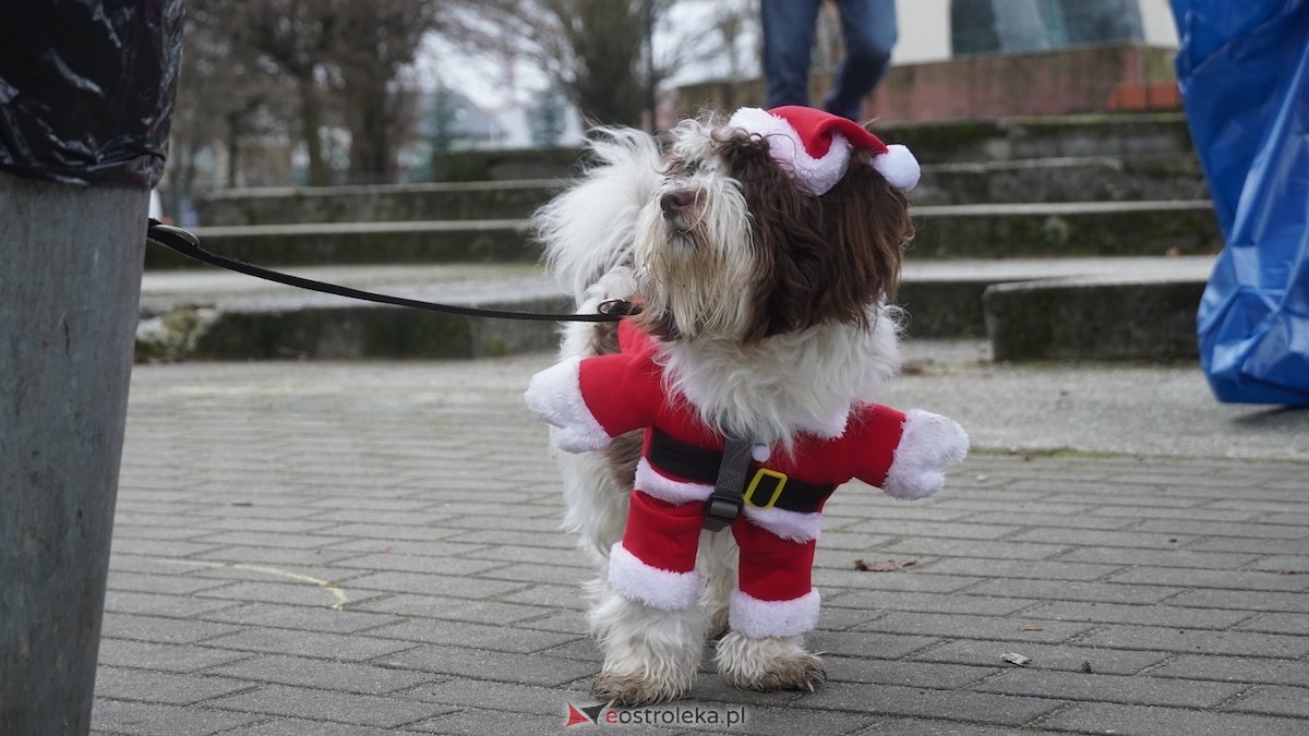 Wigilia osiedla Parkowe w Ostrołęce [21.12.2025] - zdjęcie #51 - eOstroleka.pl